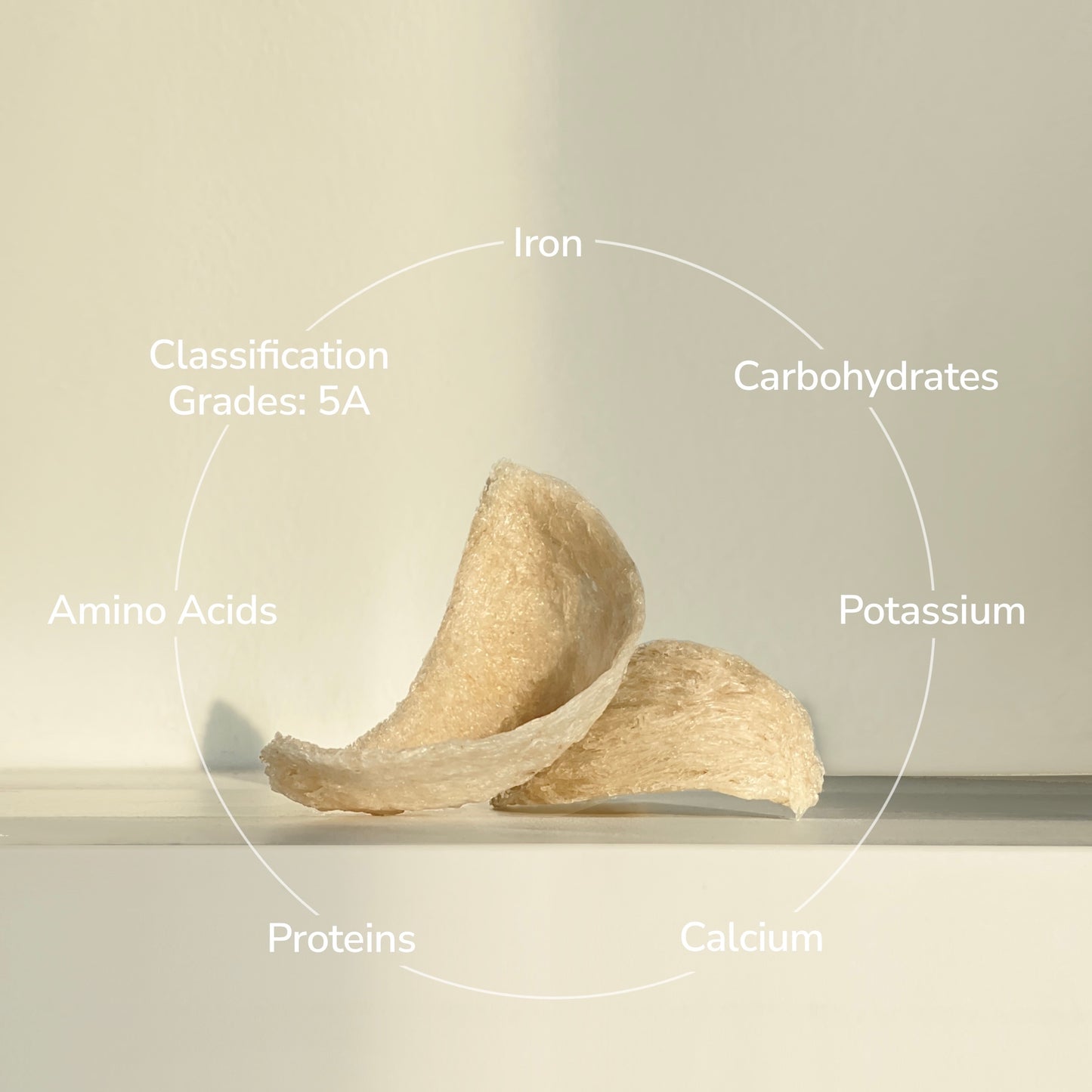 Natural Dried Bird Nest
