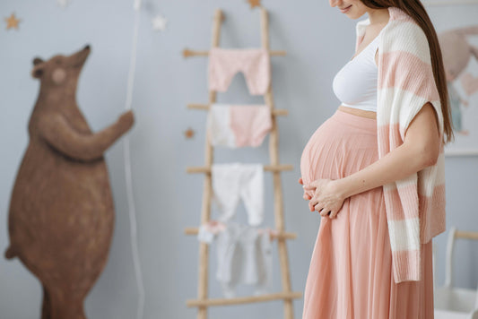 Benefits of Edible Bird's Nest in Pregnancy